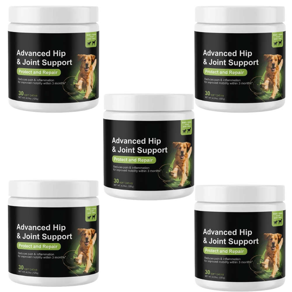 Advanced Hip & Joint Support™